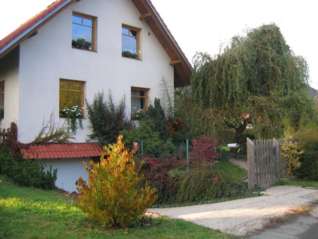 magnolia stellata,kleče,jasmin,skalník,hlohyně