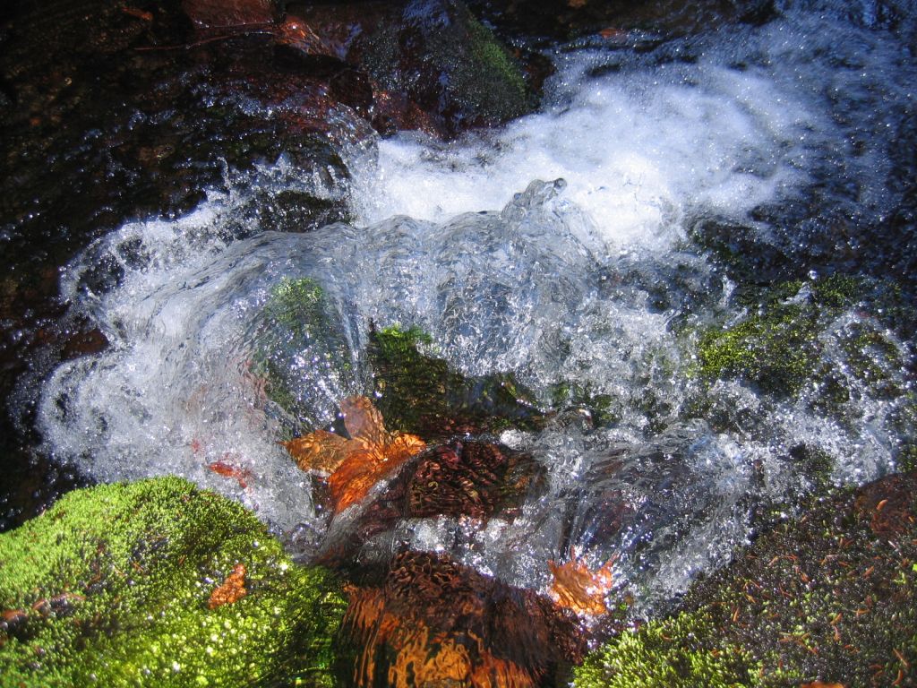 Šumava