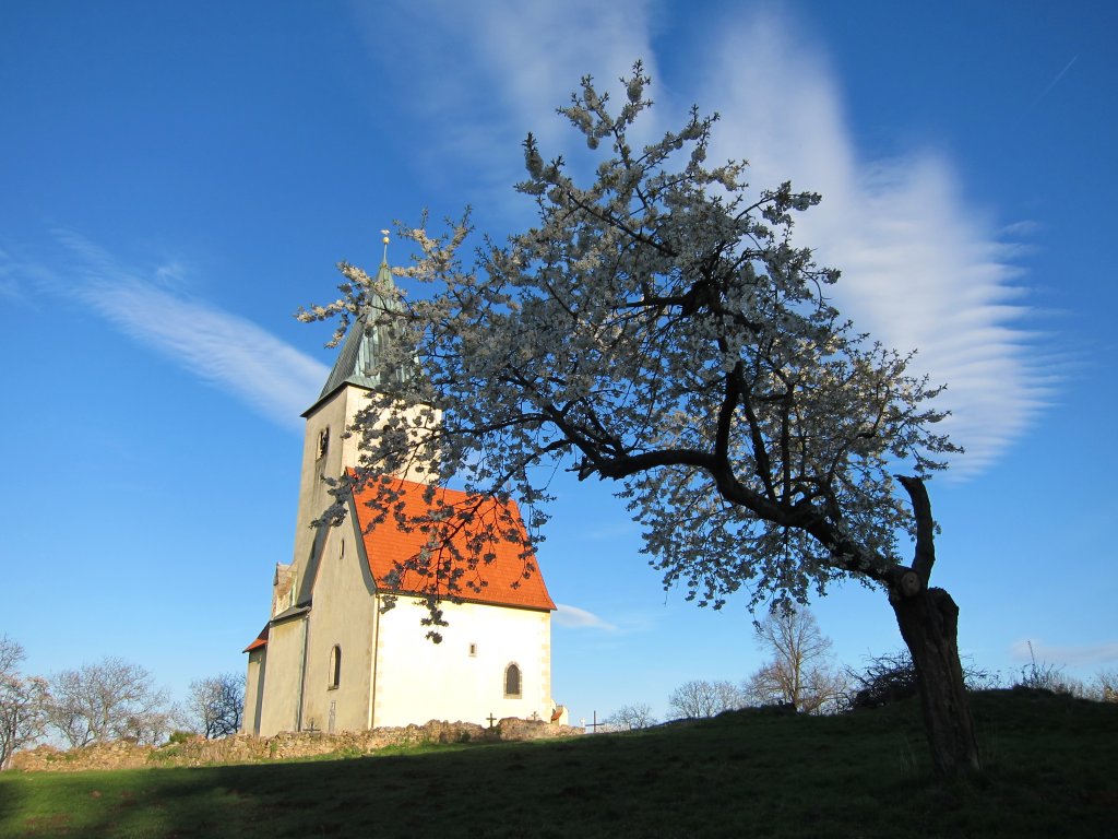 sv. Jakub - Chvojen